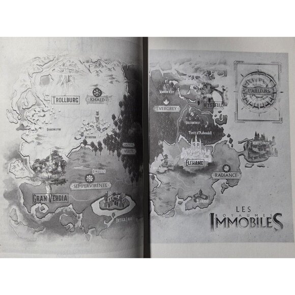 Les Royaumes Immobiles Ariel Holzl Tome 1 & 2 Fantasy French Books Set Softcover - Picture 16 of 16
